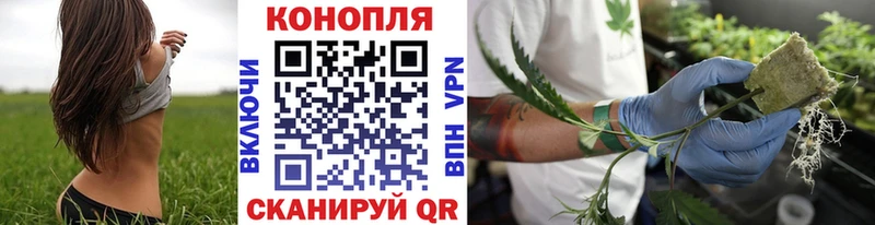 Какие есть наркотики Вышний Волочёк АМФ APVP Конопля КОКАИН