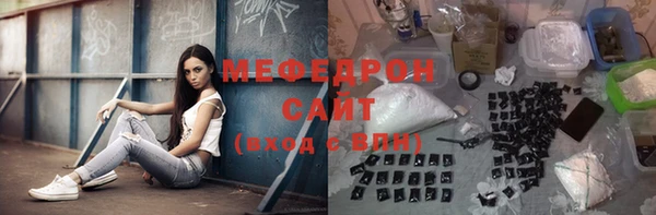 сатива Беломорск