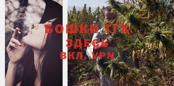сатива Беломорск