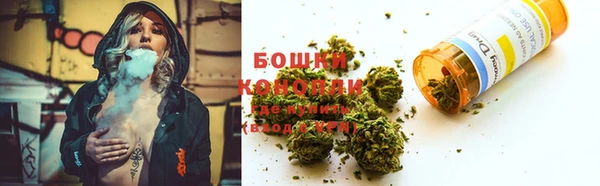 гидропоника Белоозёрский