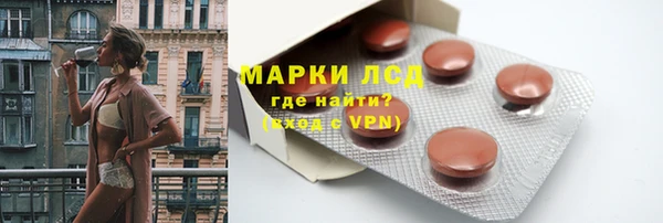 сатива Беломорск
