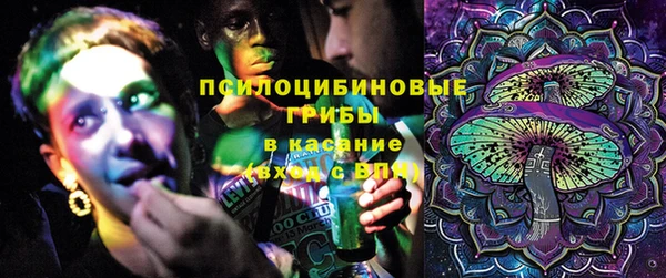 эйфоретик Белокуриха