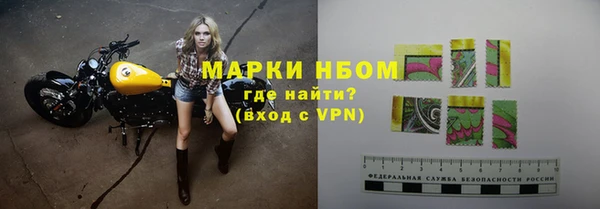 сатива Беломорск
