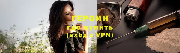 сатива Беломорск