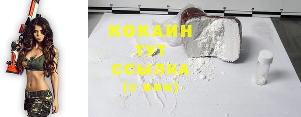 эйфоретик Белокуриха