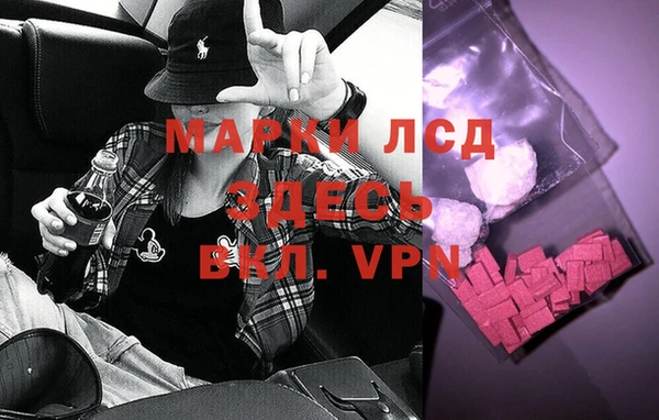 сатива Беломорск