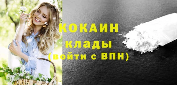 сатива Беломорск