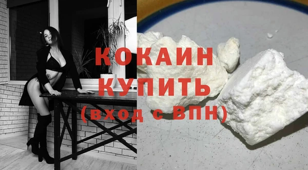 сатива Беломорск
