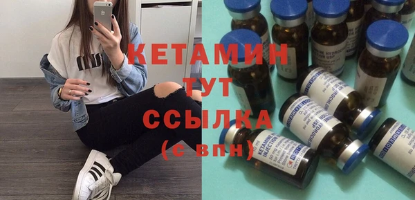 сатива Беломорск
