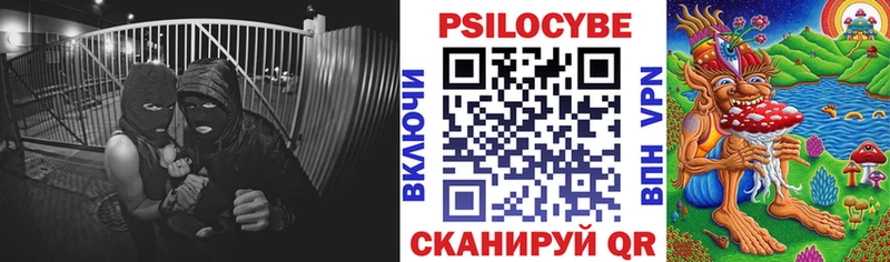 ОМГ ОМГ вход  Вышний Волочёк  Псилоцибиновые грибы Psilocybine cubensis 